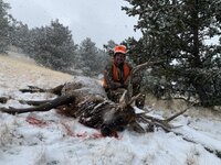 IMG_6151.jpeg