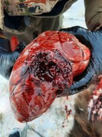 IMG_9030.jpeg IMG_9030.jpeg