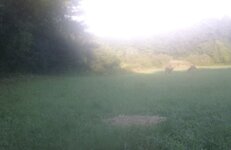 IMG_0556.jpeg