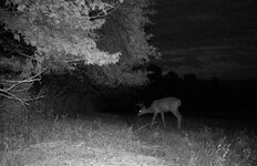 IMG_0551.jpeg