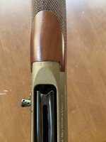 IMG_6799.jpeg