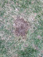 20240319_190817.jpg