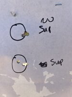 IMG_7978.jpeg