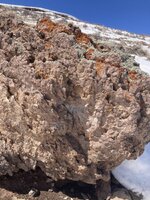 IMG_4867.jpeg
