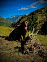 IMG_5167.jpeg