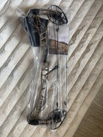 IMG_4398.jpeg