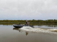 IMG_2973.jpeg