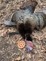 IMG_0629.jpeg