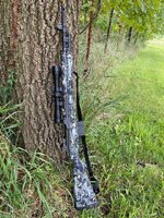 M1A SS.jpg