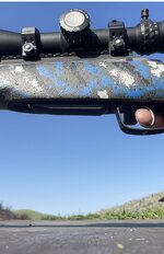 IMG_3718.jpeg