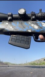 IMG_3717.jpeg