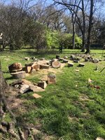 IMG_2247.jpeg