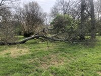 IMG_2246.jpeg