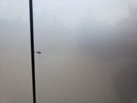 20240324_102209.jpg