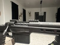 IMG_2756.jpeg