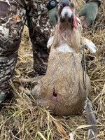 IMG_3929.jpeg