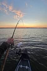 20240320_064210.jpg