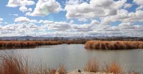 Hinkson Slough.jpg