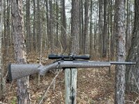 IMG_2540.jpeg