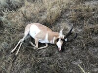 IMG_2398.jpeg