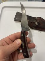 IMG_8303.jpeg