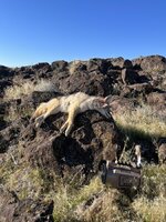 5A868744-973F-42FF-892E-C3C06525DFD3.jpeg