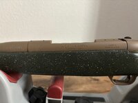 IMG_7238.jpeg