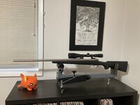 IMG_0429.jpeg