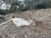 IMG_0405.jpeg