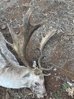 IMG_0411.jpeg