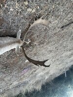 IMG_0404.jpeg