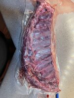 IMG_0450.jpeg