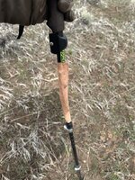 IMG_1179.jpeg