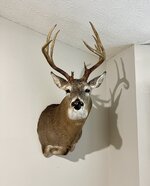 IMG_4885.jpeg