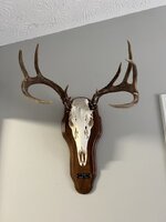 IMG_3100.jpeg