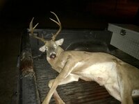 IMG_6038.jpeg