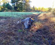 IMG_1864.jpeg