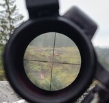 elk 750yds 6x.jpg