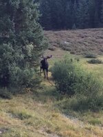 IMG_4707.jpeg