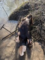 IMG_3612.jpeg