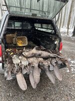 IMG_3480.jpeg