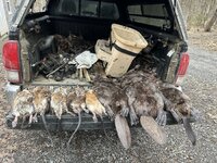 IMG_3127.jpeg