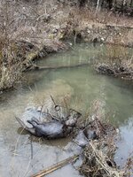 IMG_3123.jpeg