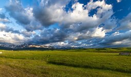 3552-mont.jpg