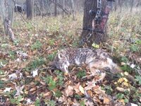 IMG_0090.jpeg