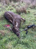 IMG_6809.jpeg