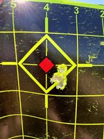 IMG_1208.jpeg