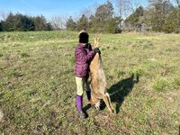 IMG_2515.jpeg