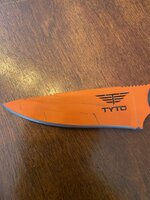 IMG_2333.jpeg
