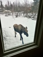 IMG_9569.jpeg